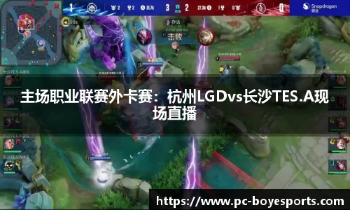 主场职业联赛外卡赛:杭州LGDvs长沙TES.A现场直播
